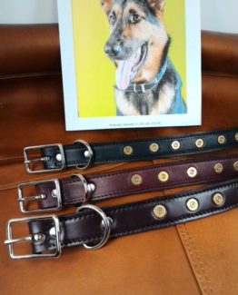 Leather Dog Coller